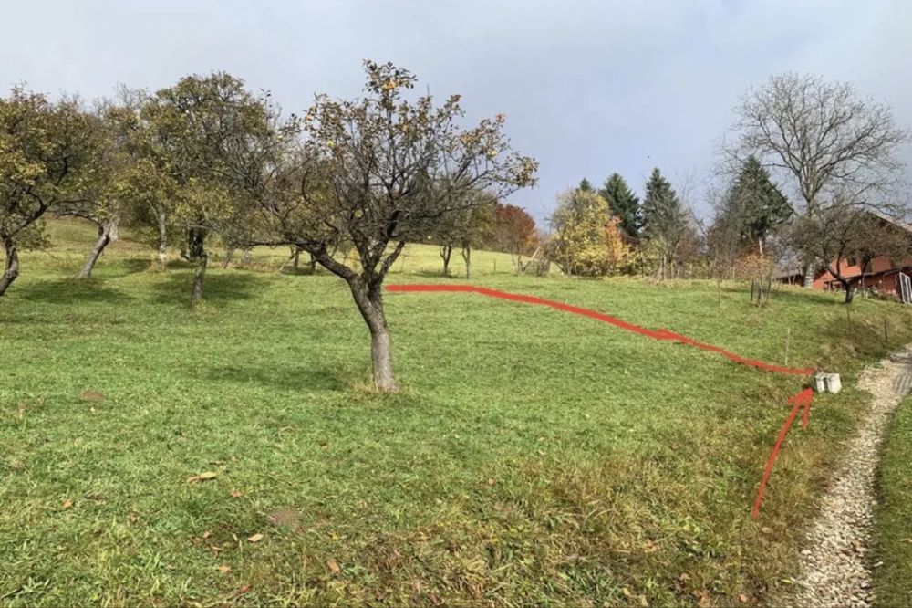 Teren Moieciu de Jos