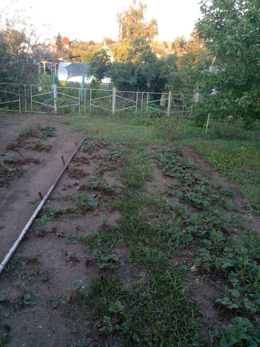 Продаю дачу 6 соток