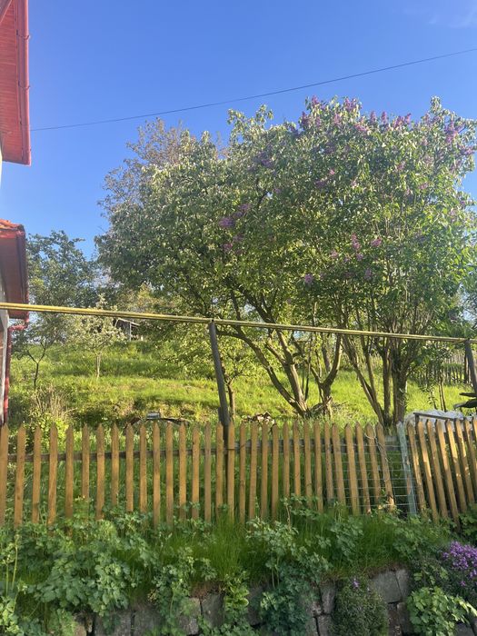 Vand doua case Petrila sau schimb