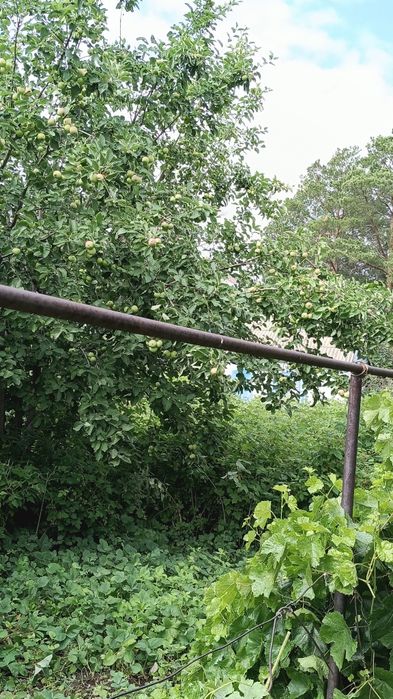 Продам дачу 16соток, город Алга 22 коллектив