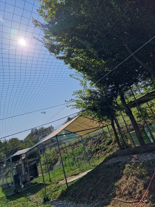 Plasă  Voliere Păsări protectie și siguranță