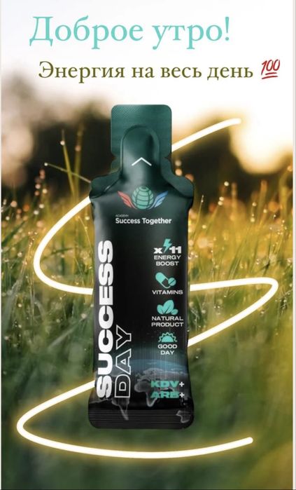 Sucess Day клеточное дневное питание