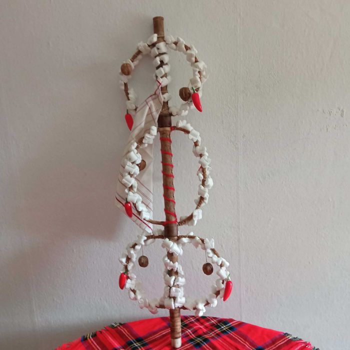 РЕ - кавал сурвакница