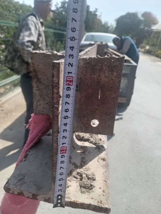 Двухтавр шивиллер