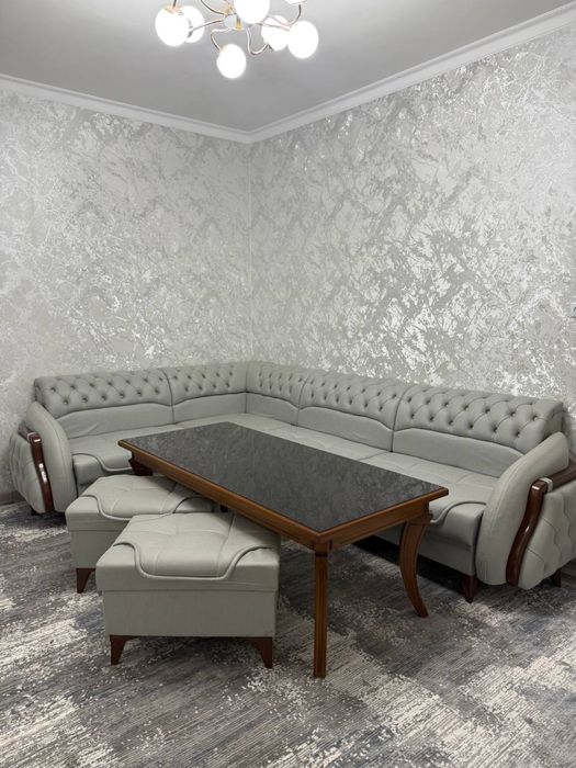 Zal ugalok arzon narxda oling