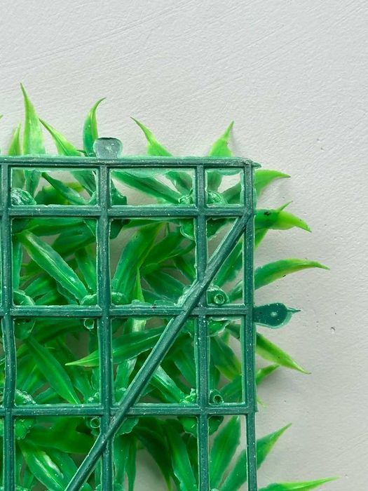 Фитостена 60×40 см — самшит без ухода