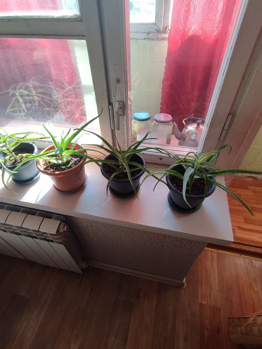 Продам продам отльл