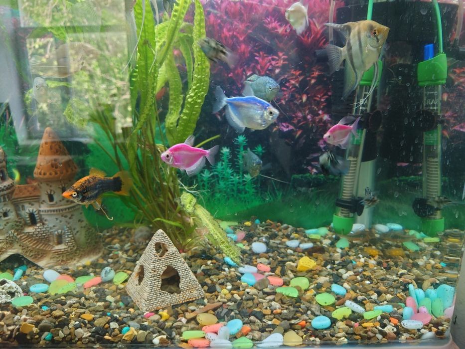 Аквариум 95 литровый