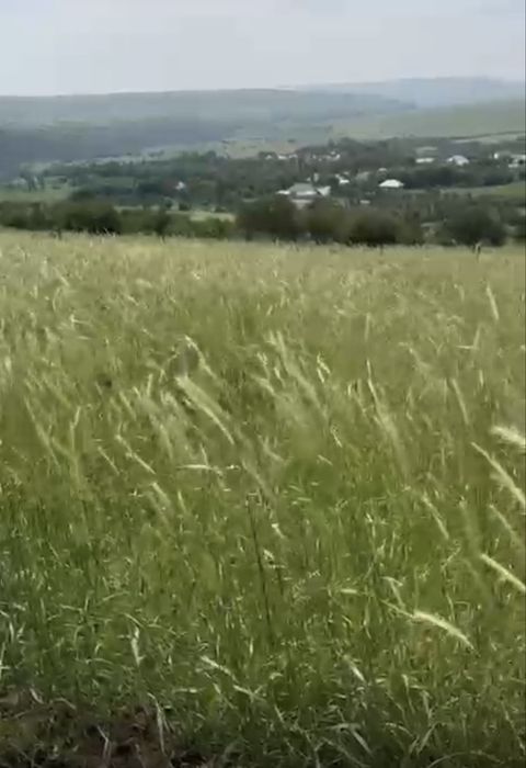 Продам землю, жер сатылады