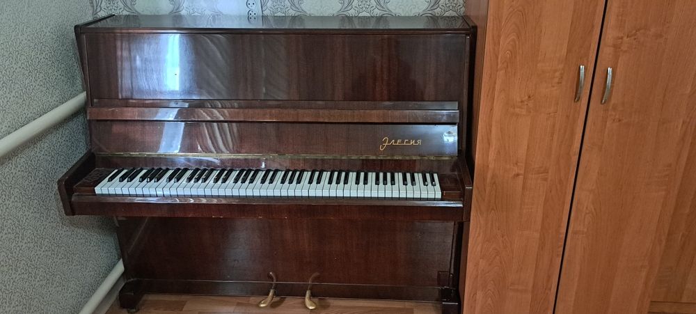 Пионино сатылады Элесия