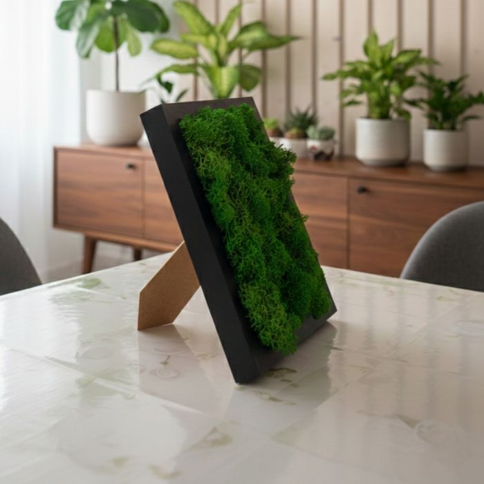 Tablou decorativ cu lichieni naturali.