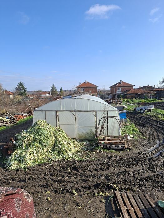 Оранжерия 4 на 11