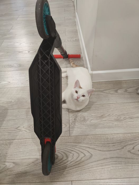 Самокат двухколесный Дерзкий