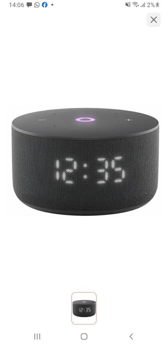 Алиса мини 25.000