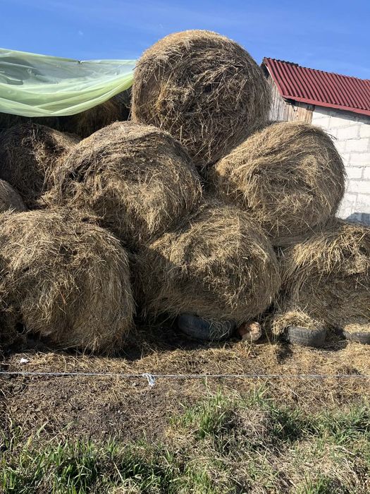 Vând baloți de fân