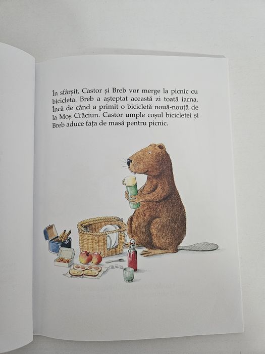 Set 6 cărți „Castor”