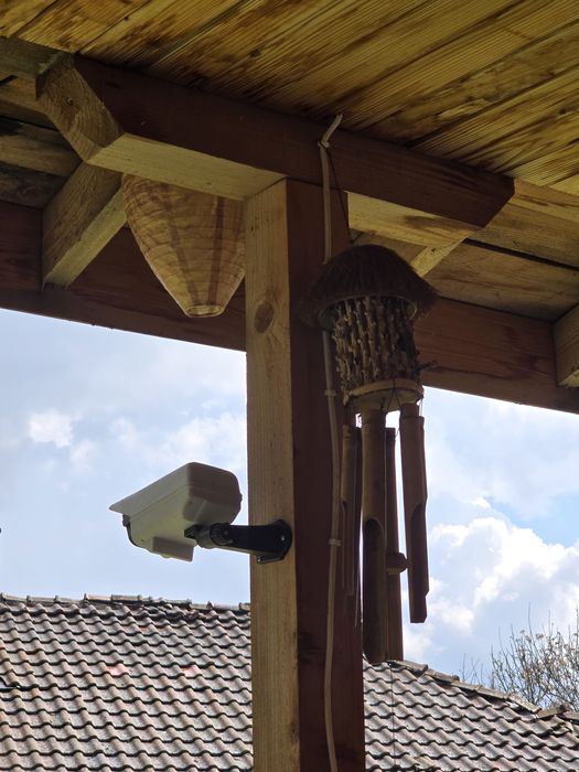 Фалшиво гнездо против оси и стършели