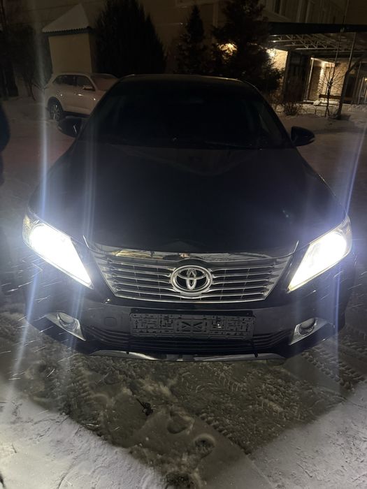 Трезвый водитель