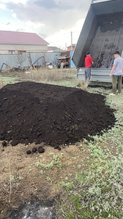 Бау-бақша навоз черназем