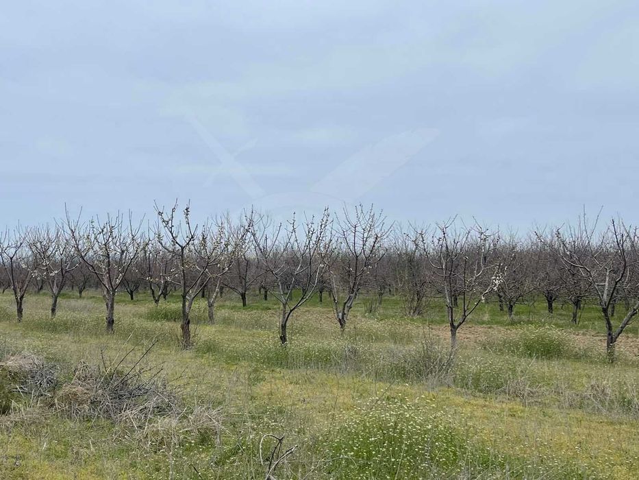 Продава се Земеделски имот в с. Цалапица, Област Пловдив -  кв.м за 3 €/дка - Снимка #1