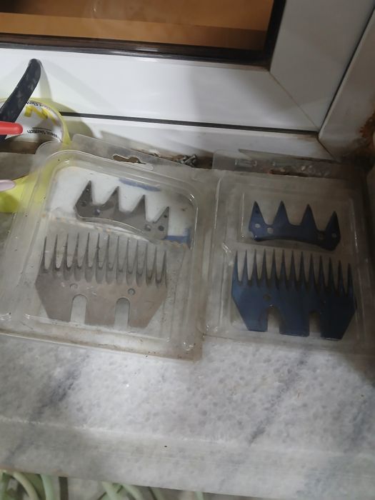 Sotladi donasi 40000