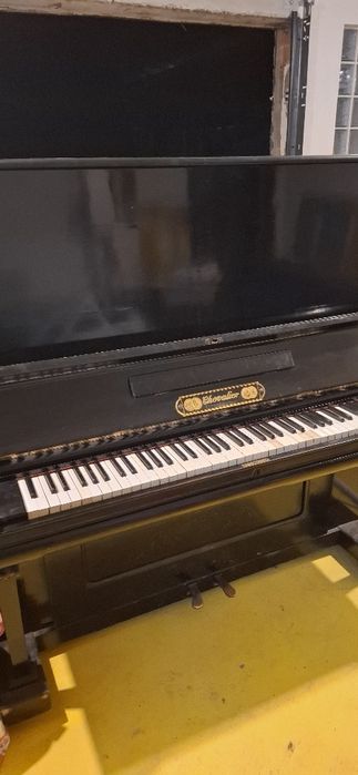 Pian chevalier functional