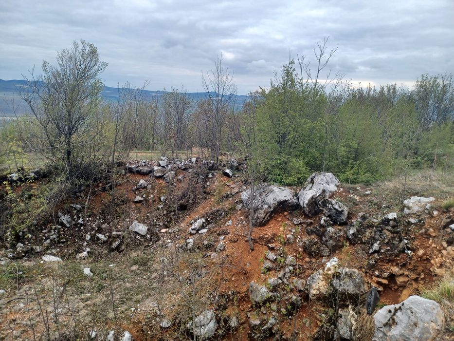 Продава се Парцел в с. Паволче, Област Враца - 2365 кв.м за 20 €/кв.м - Снимка #3