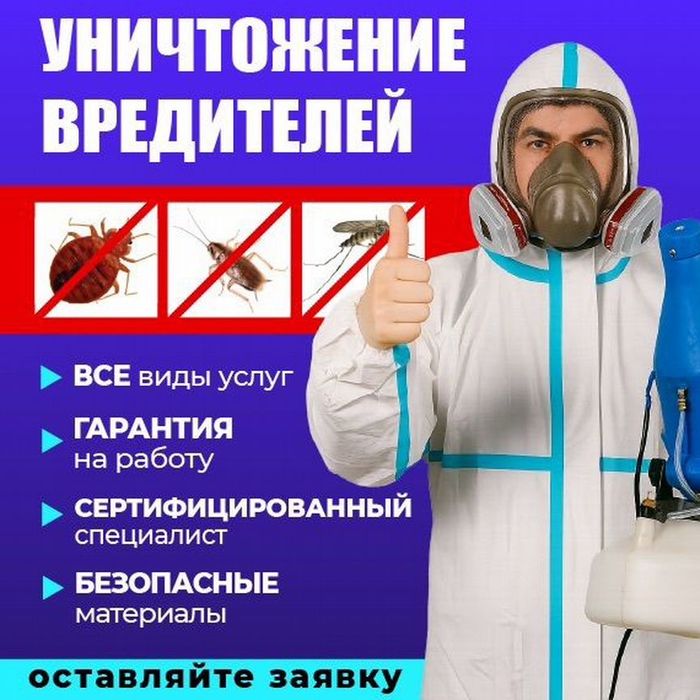 Дезенфекция дизенфекция дезинфекция дизинфекция dizinfeksiya