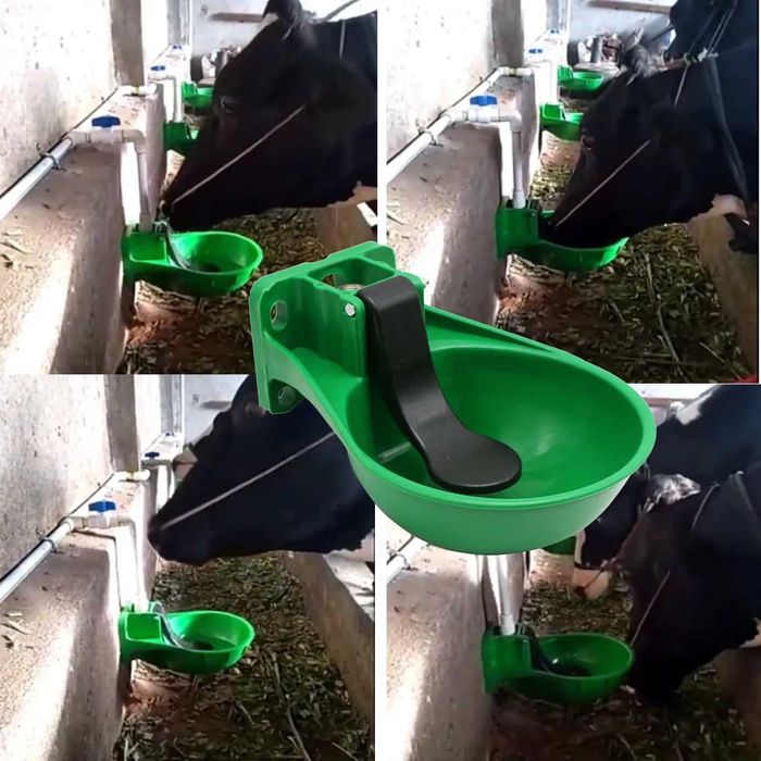 Поилка для крупного рогатого скота