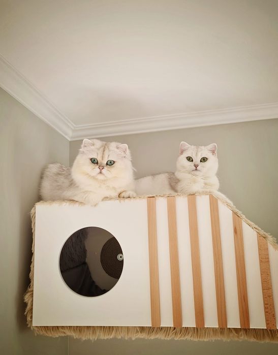 Sisal căsuța suspendată piaici cu scăriță