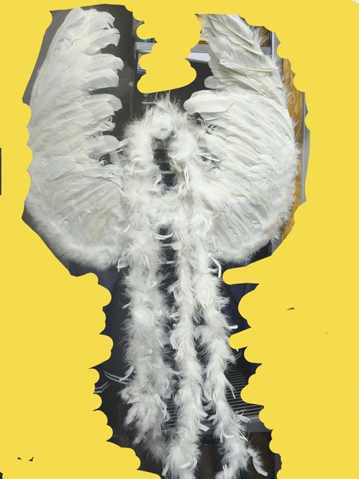 Крылья Ангела + нити из перьев