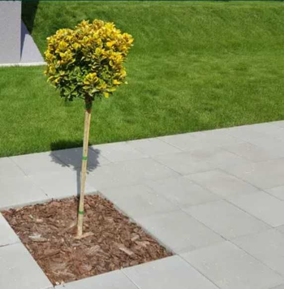 Gazon Rulou Natural - Livrare, Montaj si Intretinere