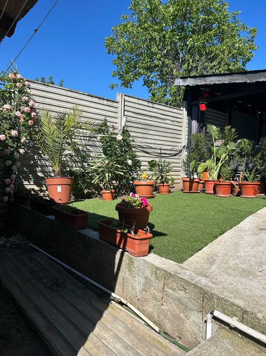 Casă P+M+SC Parc-Corneliu Coposu 2019