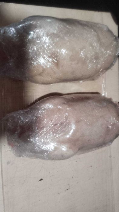 Продам гусей север