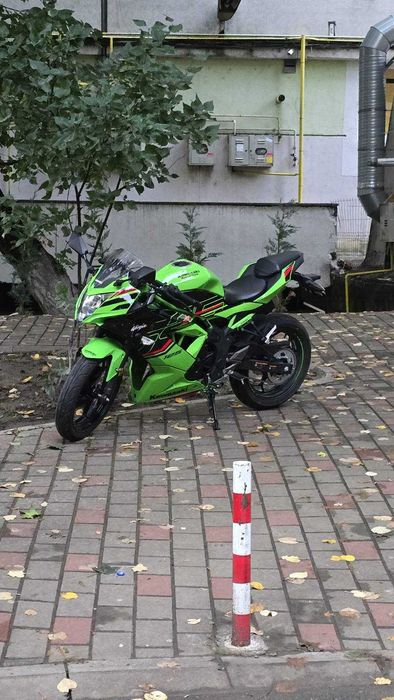 Vand Motocicleta Kawasaki Ninja 125 2024 Verde (A1)