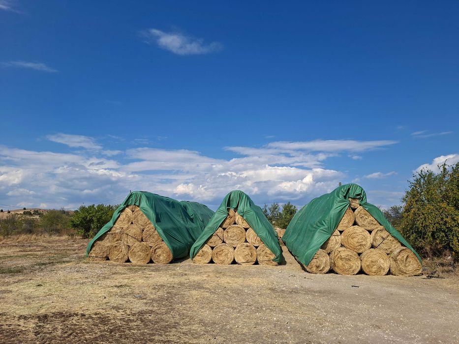 Рулонни бали люцерна,сено,овес,просо,грах и други  култури