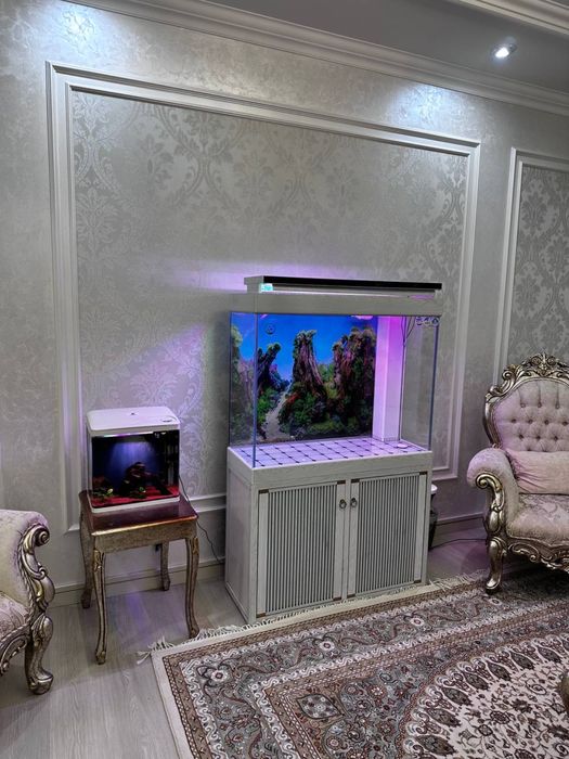 Zakas Asosida Akvarium tayyorlab beramiza