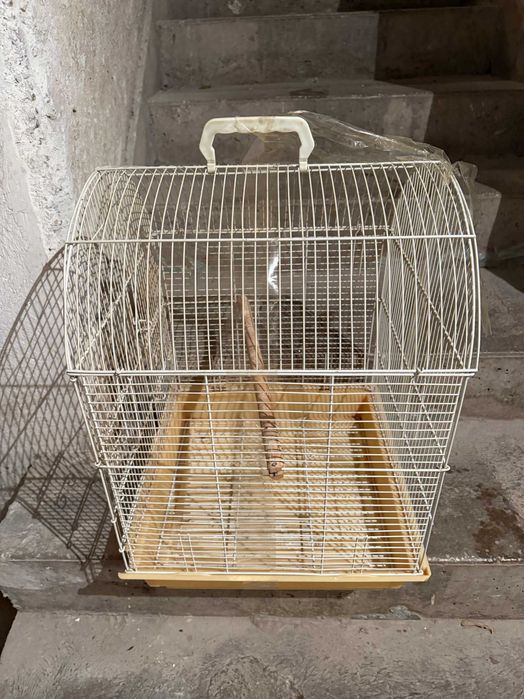 colivie mare papagali  colivie mare colivie pasari colivie pasari