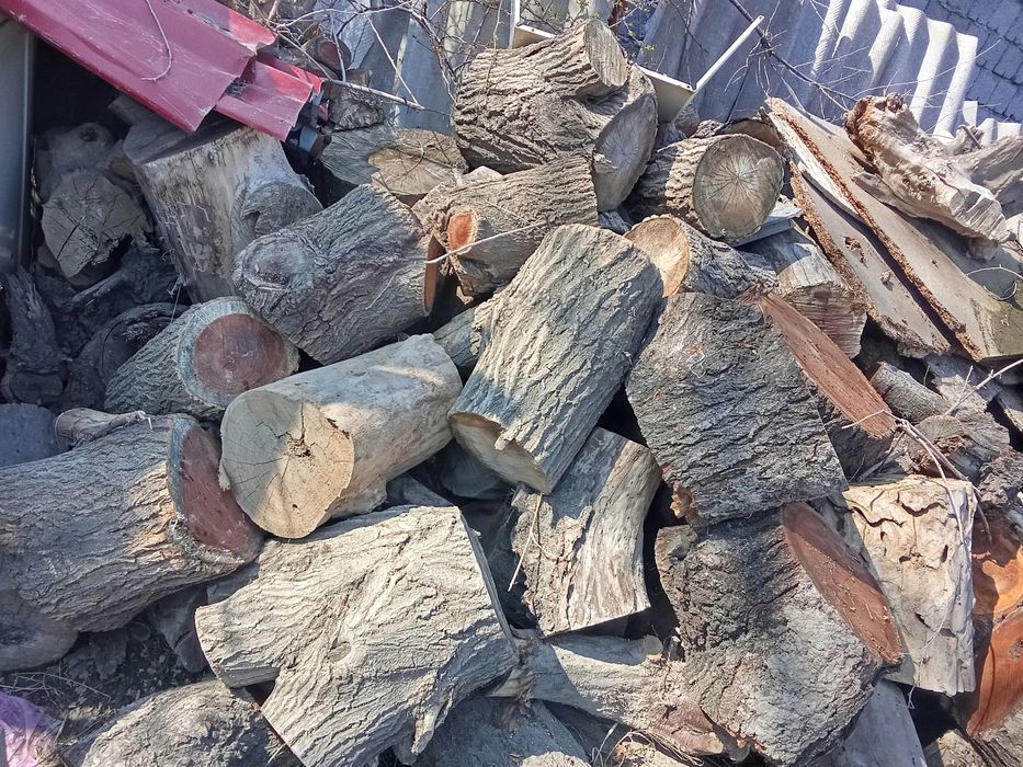 Ағаш сатылады баняга