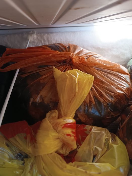 Отдам даром рыбные отходы