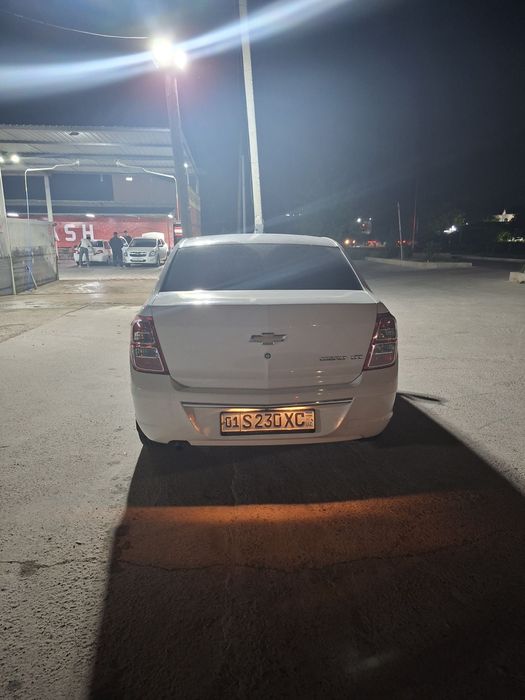 Other Cobalt 2024 — 3