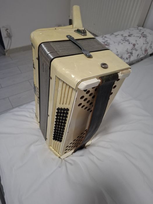 Vind acordeon profesional studiu