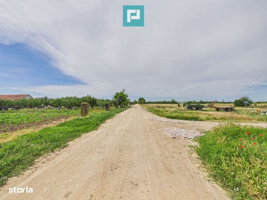 Teren extravilan 5000 mp, Arad