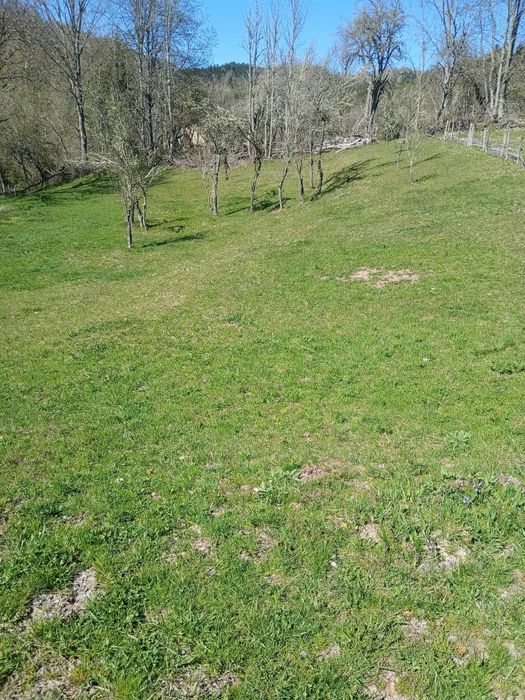 Casă de vânzare în Bucium (Alba) cu teren generos, apr