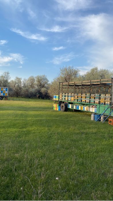 Продам пчелопавилион