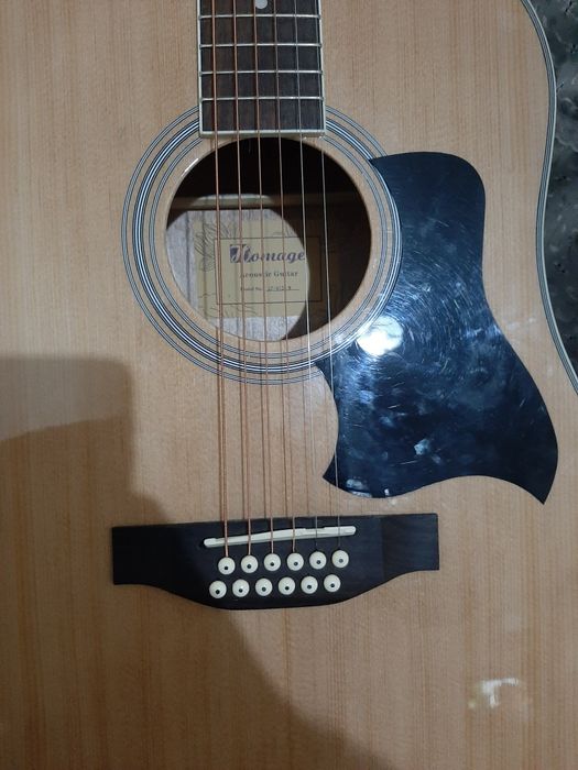 Gitara homage 12 struna