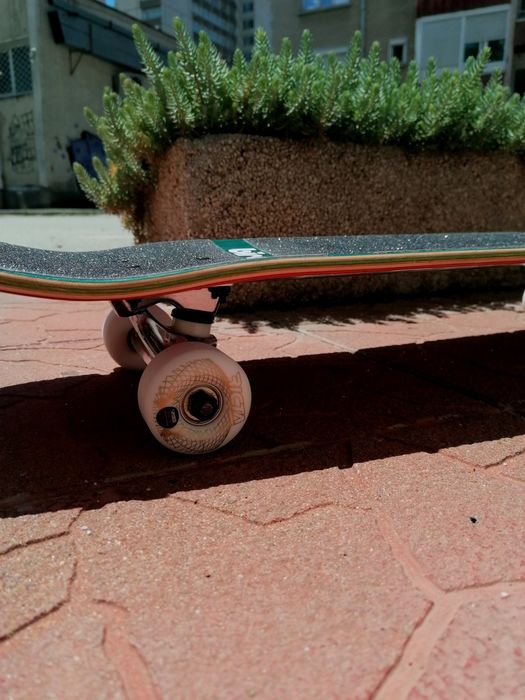Скейтборд Birdhouse Tony Hawk