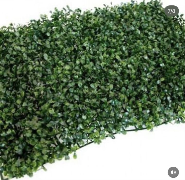 Самшит Искусственный