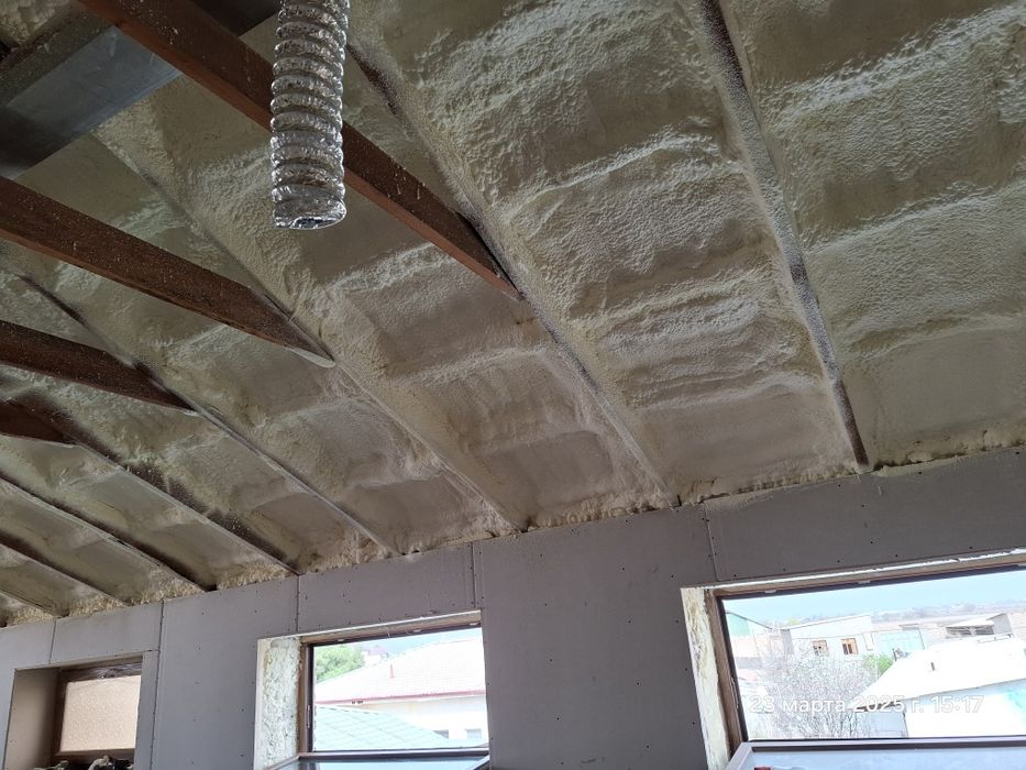 Pena penapoliuritan sepish hizmati