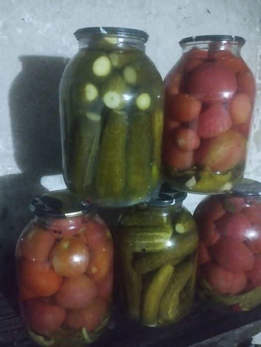 Продам огурцы помидоры